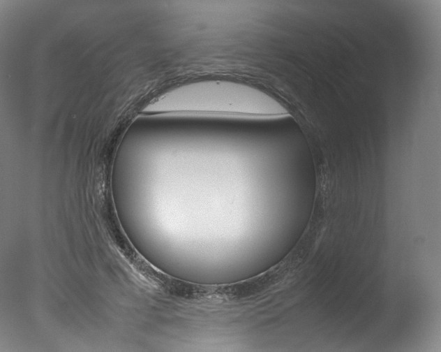 X0000077380593200610201045