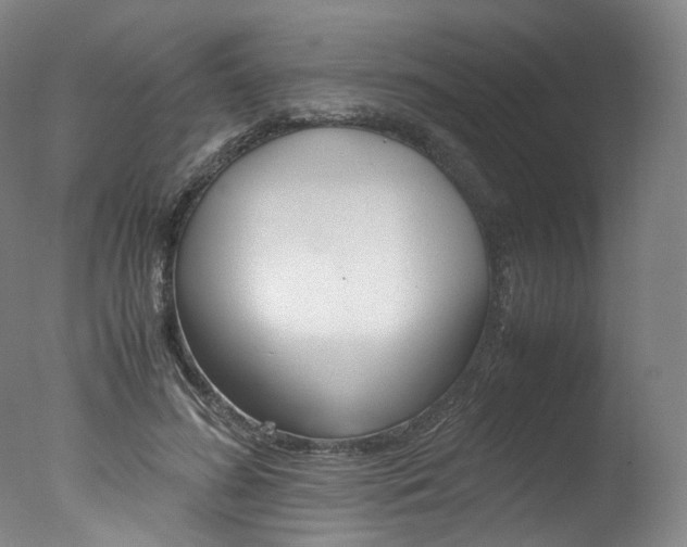 X0000077380596200610201045