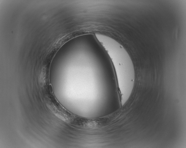 X0000077380600200610201045