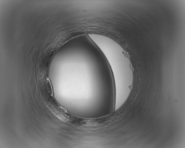 X0000077380601200610201045