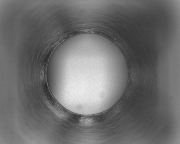 X0000077380602200610201045