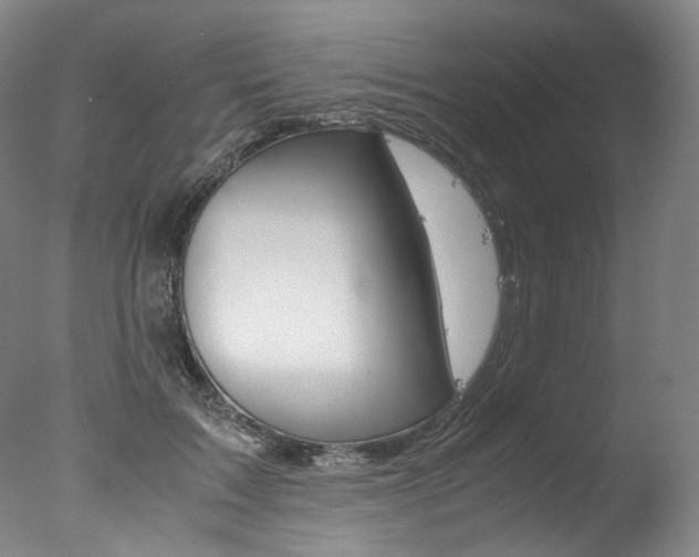 X0000077380603200610201045