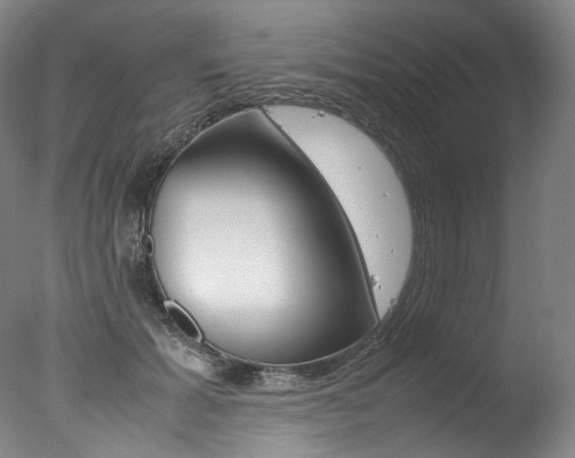 X0000077380605200610201045