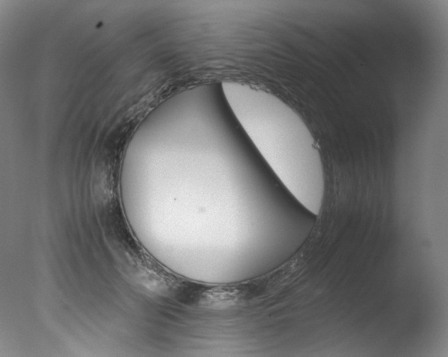 X0000077380606200610201045