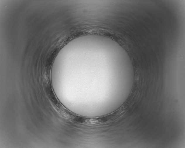 X0000077380607200610201044