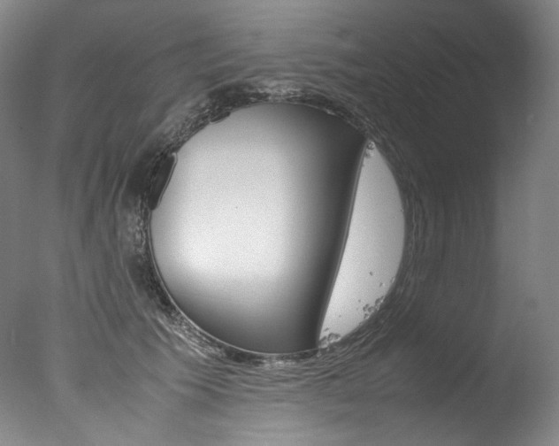 X0000077380609200610201044