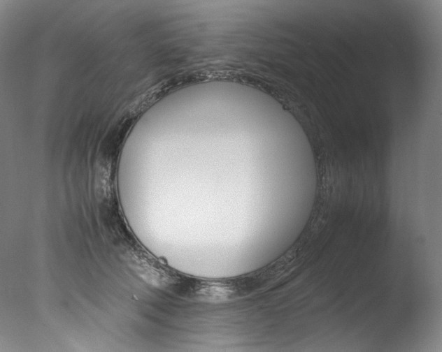 X0000077380610200610201044