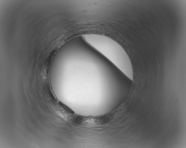 X0000077380611200610201044