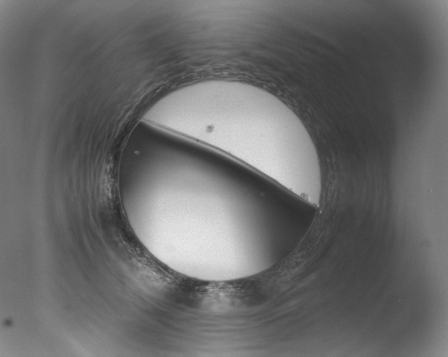 X0000077380612200610201044