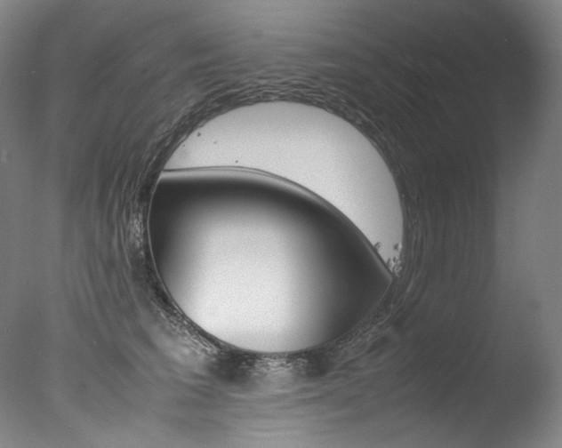 X0000077380613200610201044