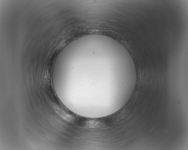 X0000077380614200610201044