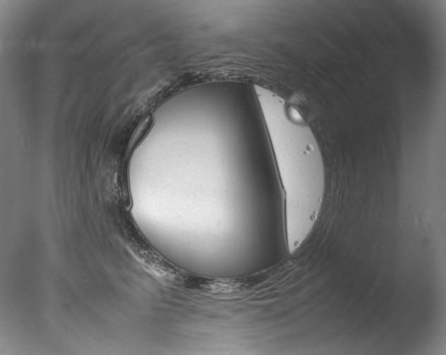 X0000077380615200610201044