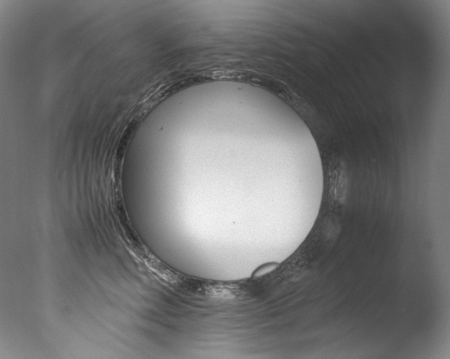 X0000077380618200610201044