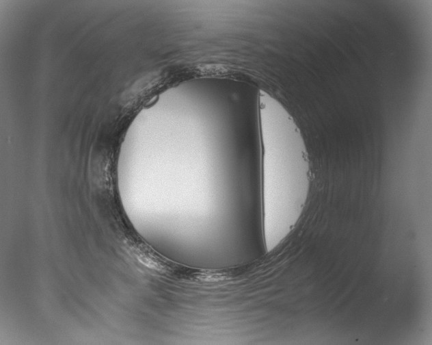 X0000077380619200610201044