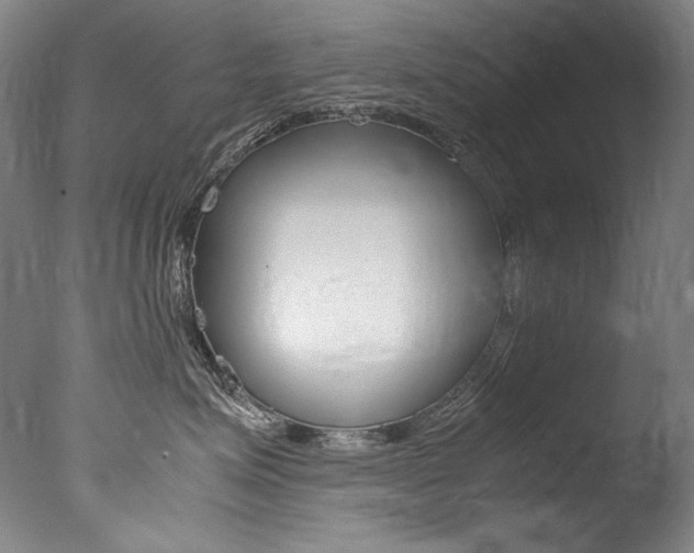 X0000077380623200610201044