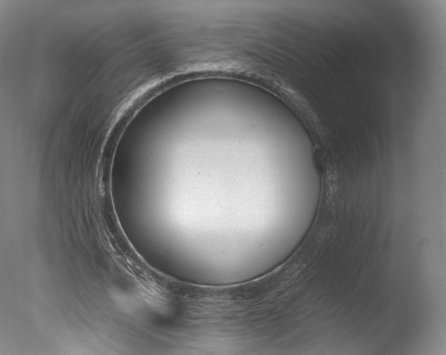X0000077380628200610201043