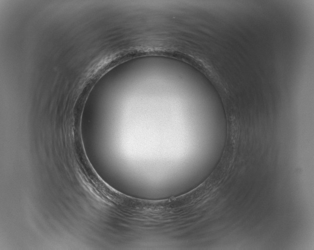 X0000077380631200610201043