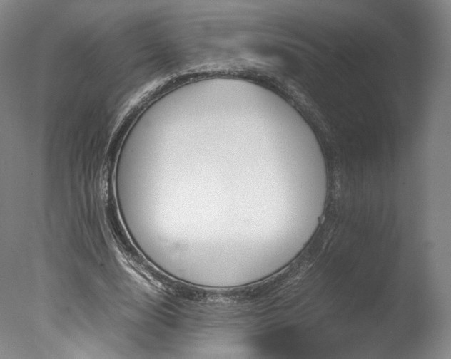 X0000077380632200610201044