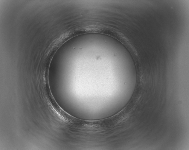 X0000077380633200610201044