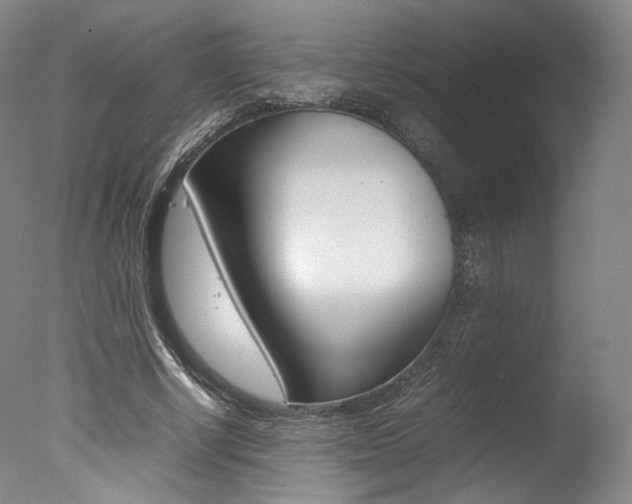 X0000077380634200610201044