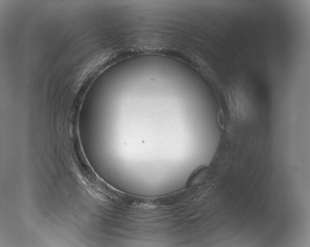 X0000077380635200610201044