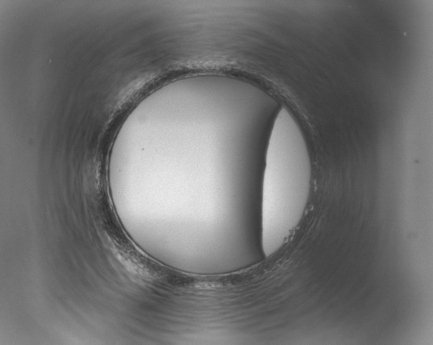 X0000077380636200610201044