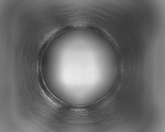 X0000077380637200610201044
