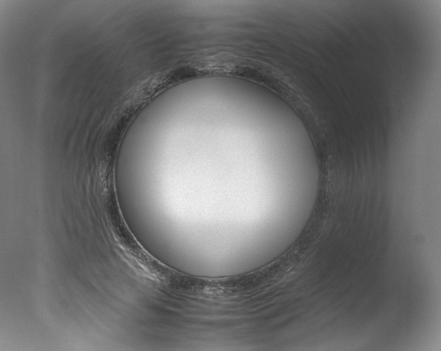 X0000077380641200610201044