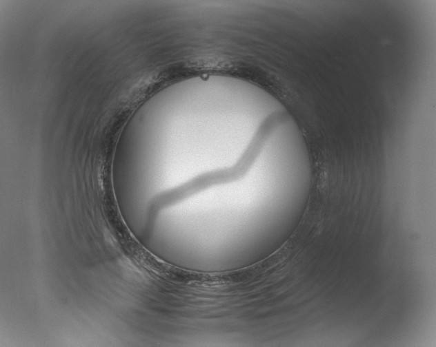 X0000077380643200610201044