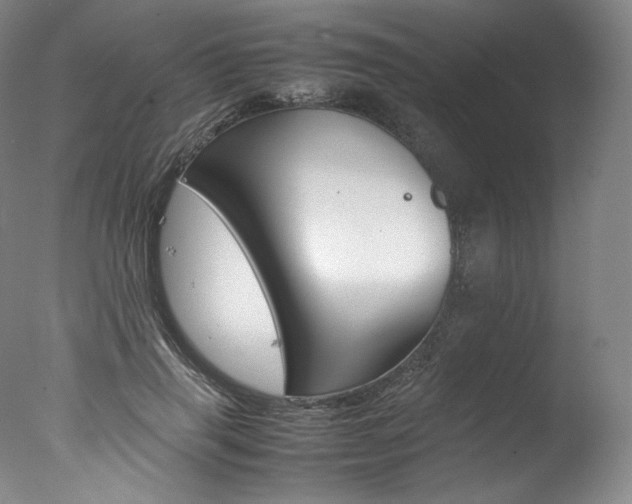 X0000077380645200610201044