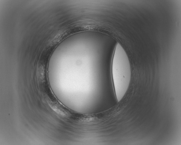 X0000077380646200610201044