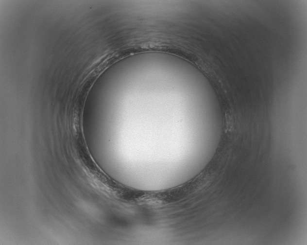 X0000077380648200610201044