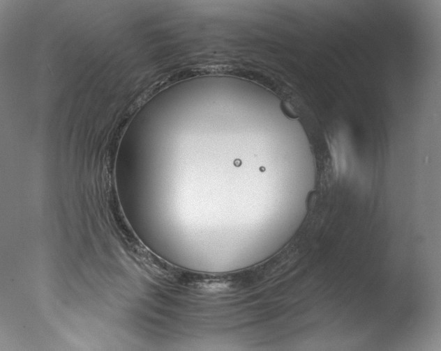 X0000077380651200610201044
