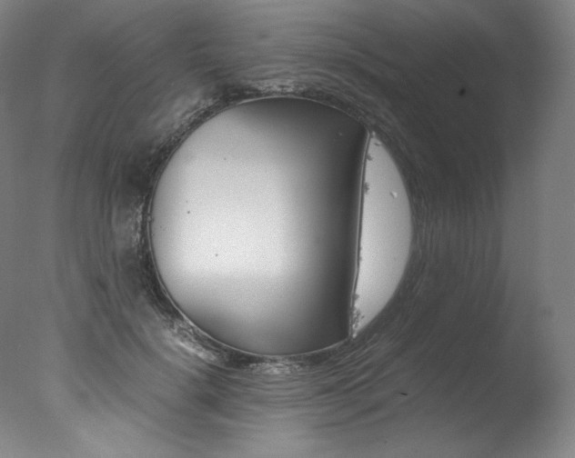 X0000077380652200610201044