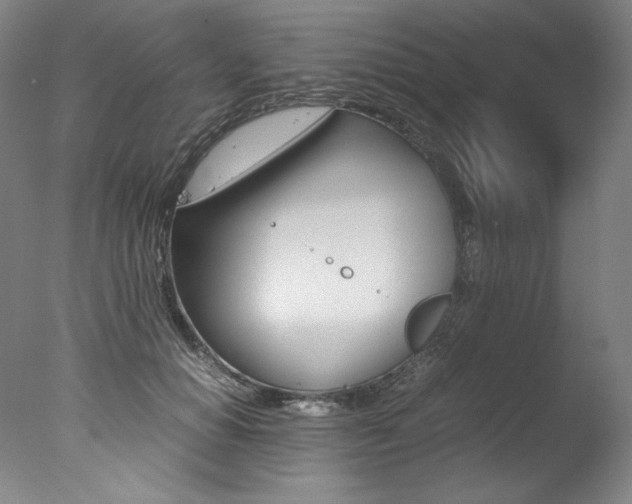 X0000077380654200610201044
