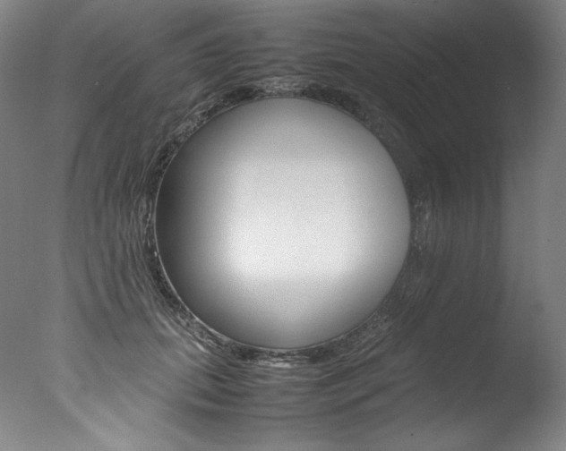 X0000077380655200610201044