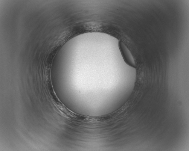 X0000077380658200610201044