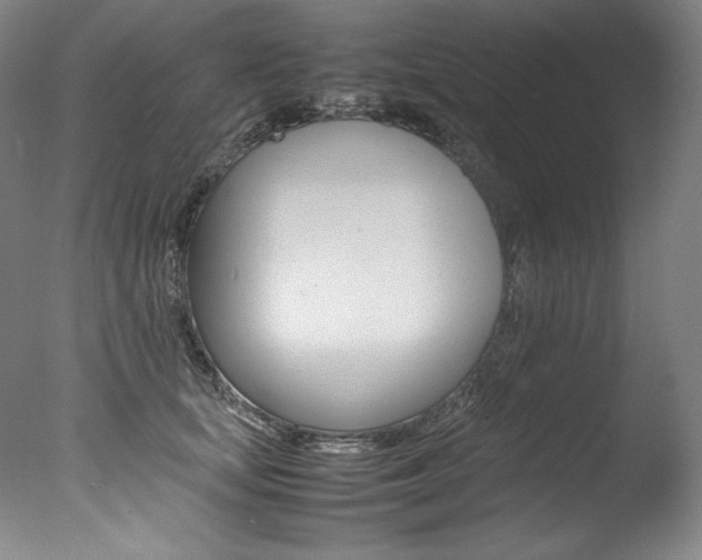 X0000077380659200610201044