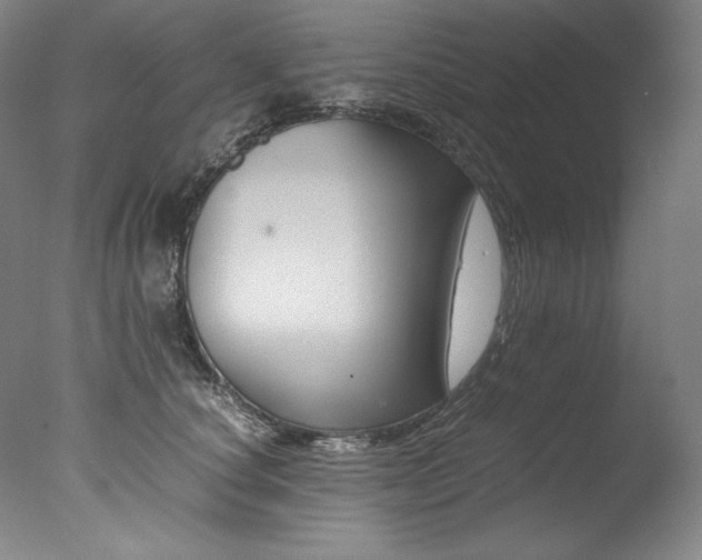 X0000077380660200610201044