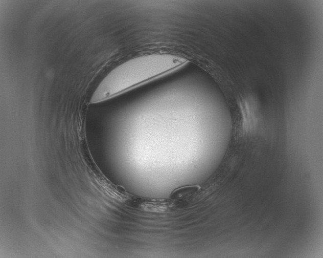 X0000077380661200610201044