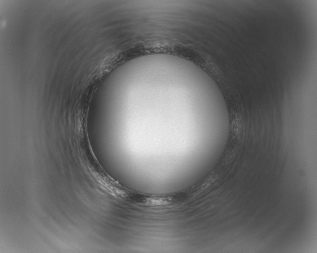 X0000077380662200610201044