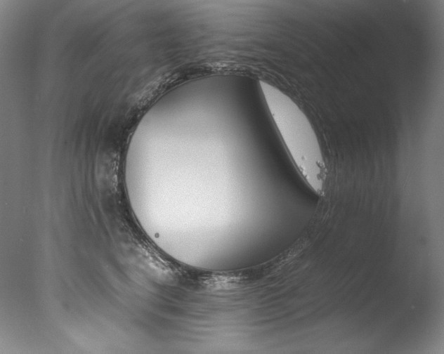 X0000077380664200610201044