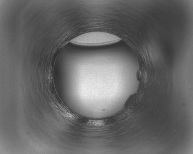 X0000077380665200610201044