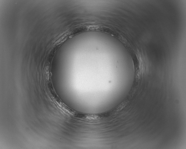 X0000077380666200610201044