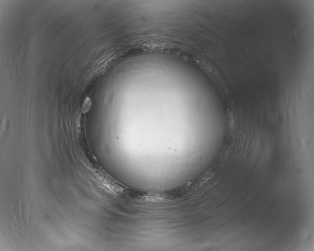 X0000077380668200610201044