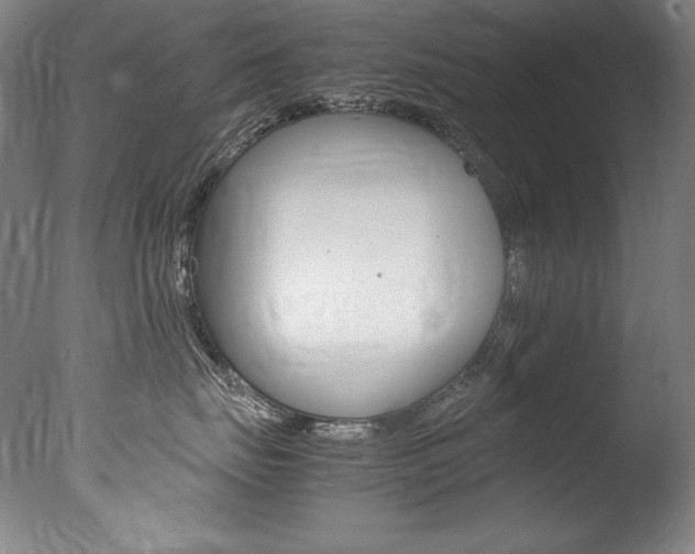 X0000077380671200610201044