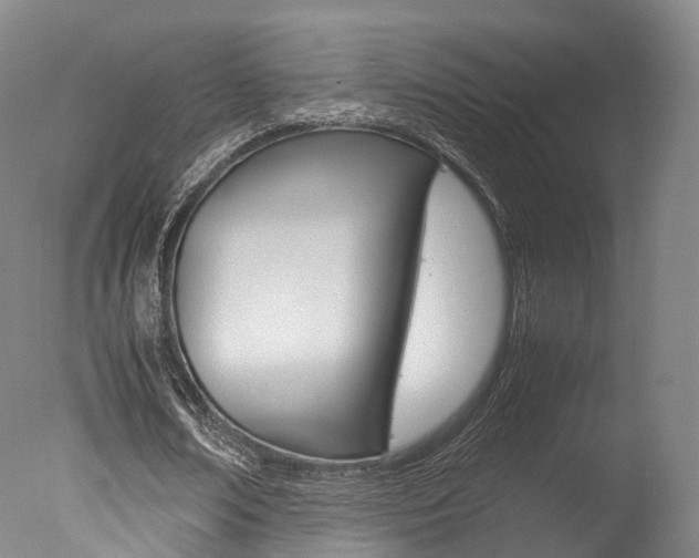 X0000077380674200610201043