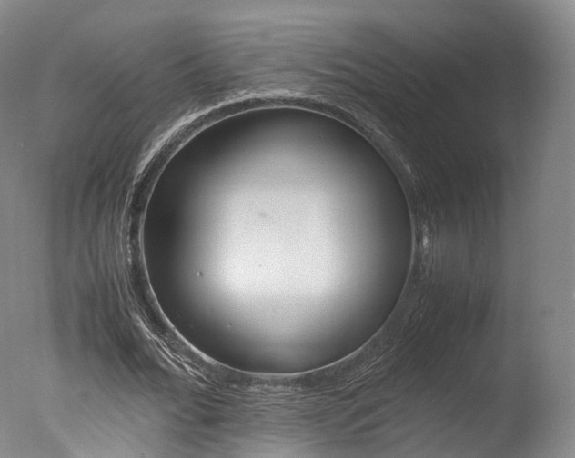X0000077380676200610201043