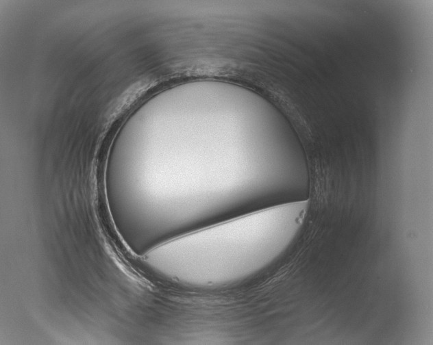 X0000077380678200610201043