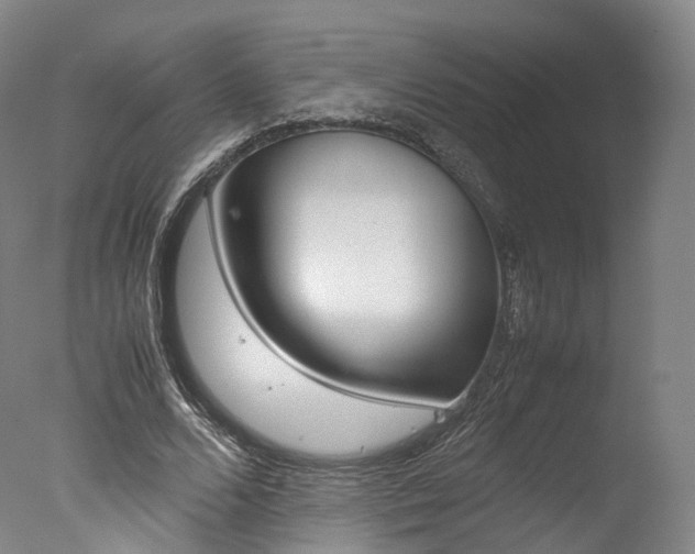 X0000077380680200610201043